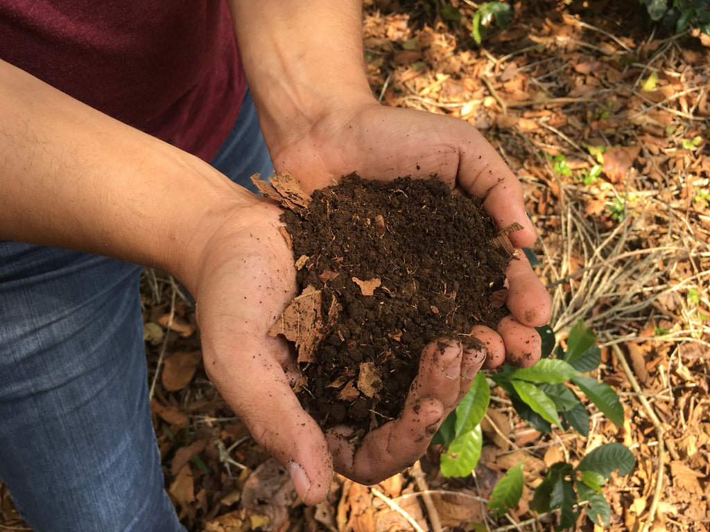 Merit 101: Terroir - Ecology