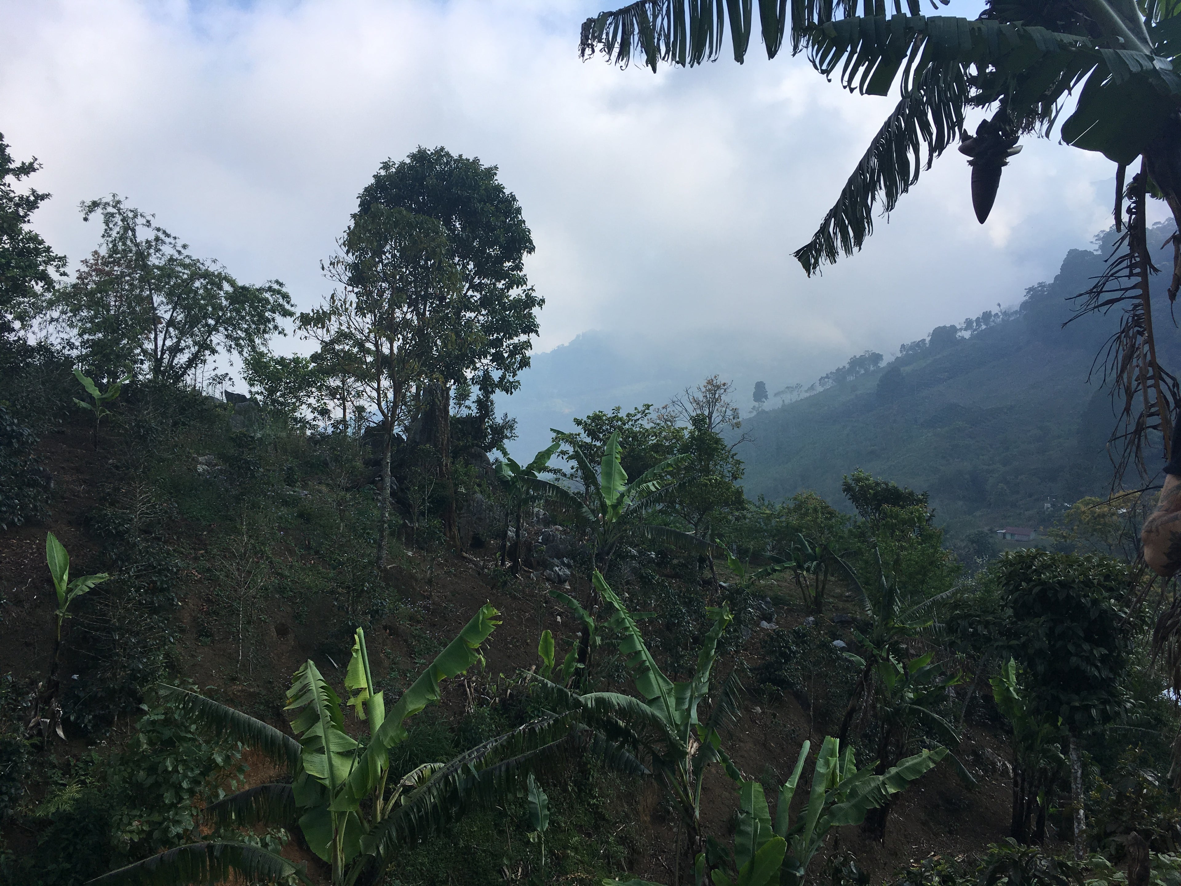 Beneficio San Vicente 2018