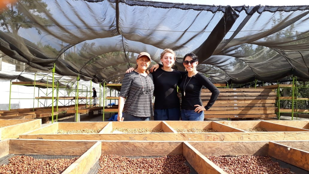 Raw Materials: Using Spanish as a Coffee Buyer