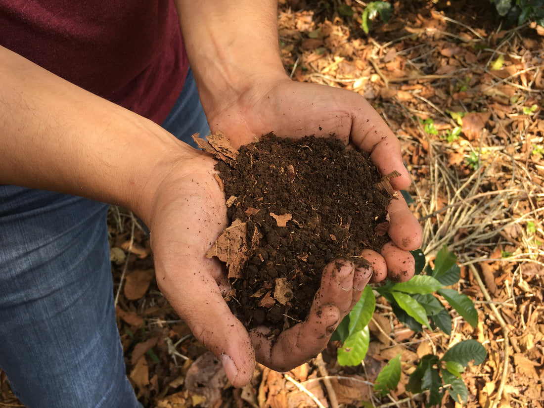 Merit 101: Terroir - Ecology