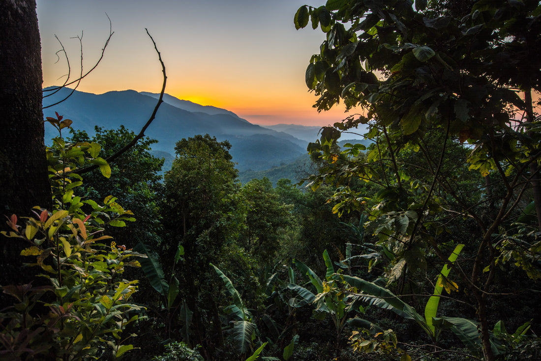 Merit 101: Terroir - Climate