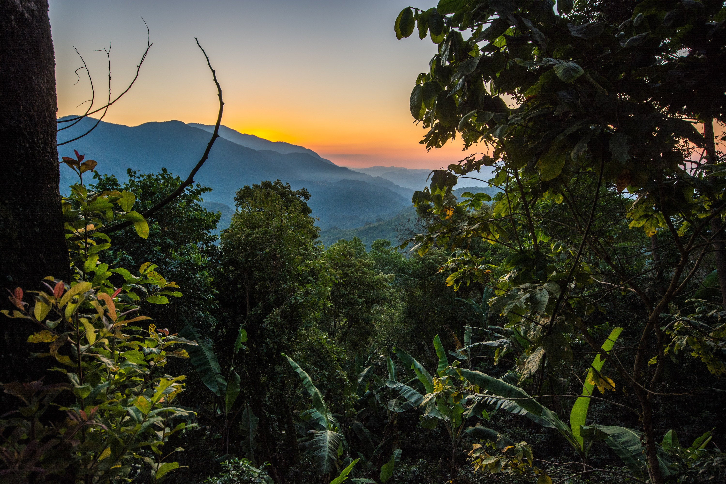 Merit 101: Terroir - Climate