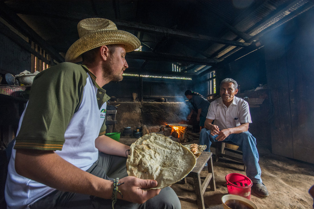 Producer Profile: Red Beetle Coffee Lab - Mexico