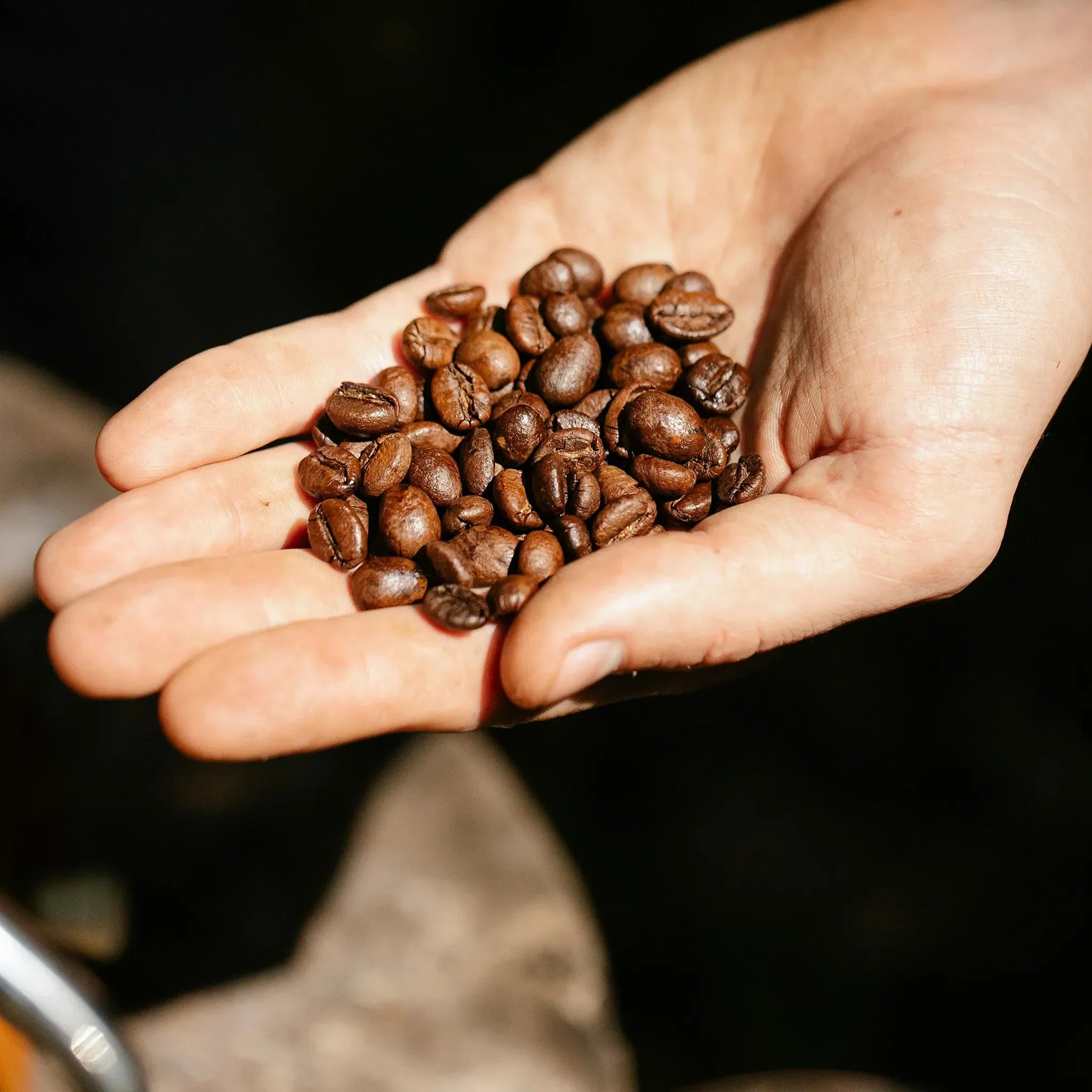 Single Origin vs Blend: What’s the Real Difference?