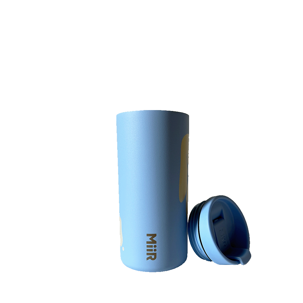 Blue Cloud Flip Traveler