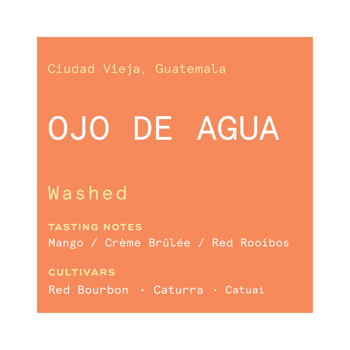 Ojo De Agua