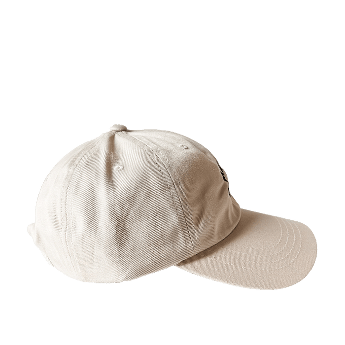 Stone Dad Hat